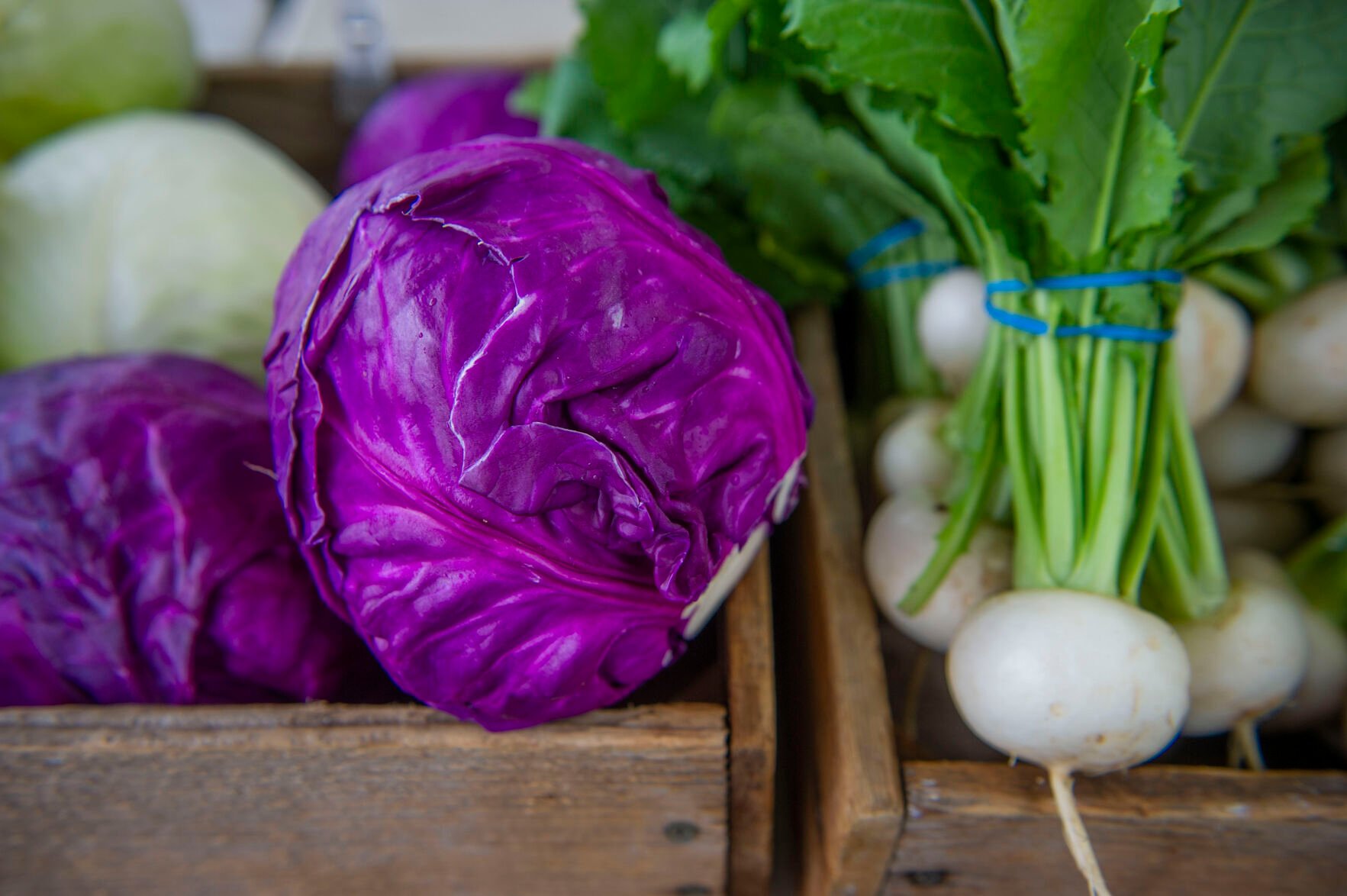 Downtown Farmers Market Set-up